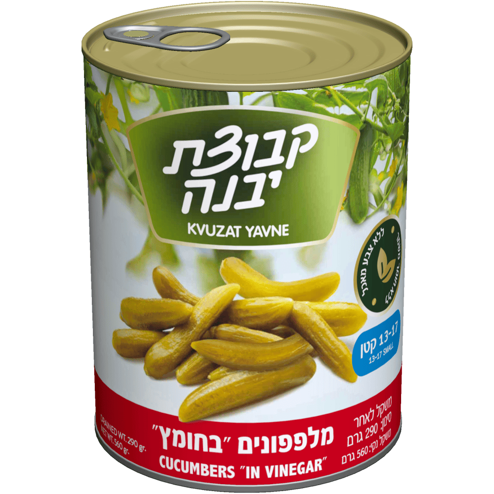 מלפפונים בחומץ