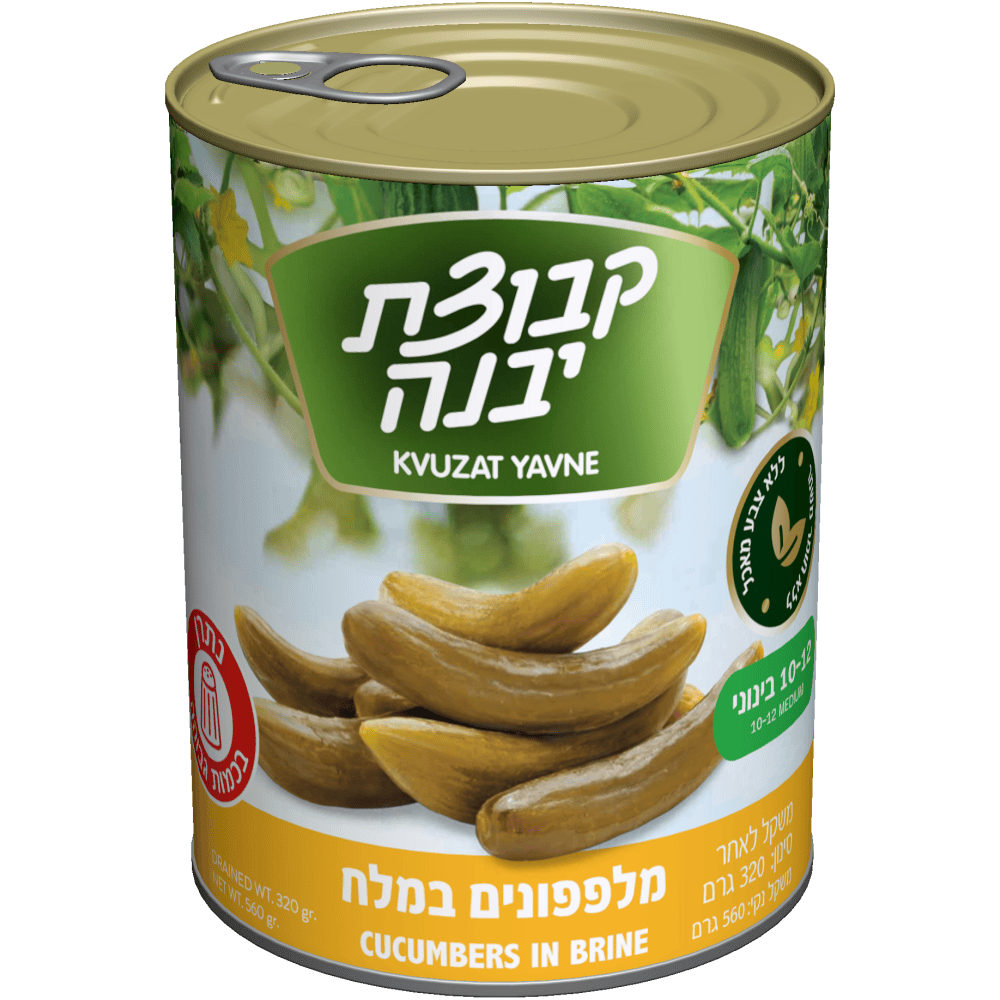 מלפפונים במלח