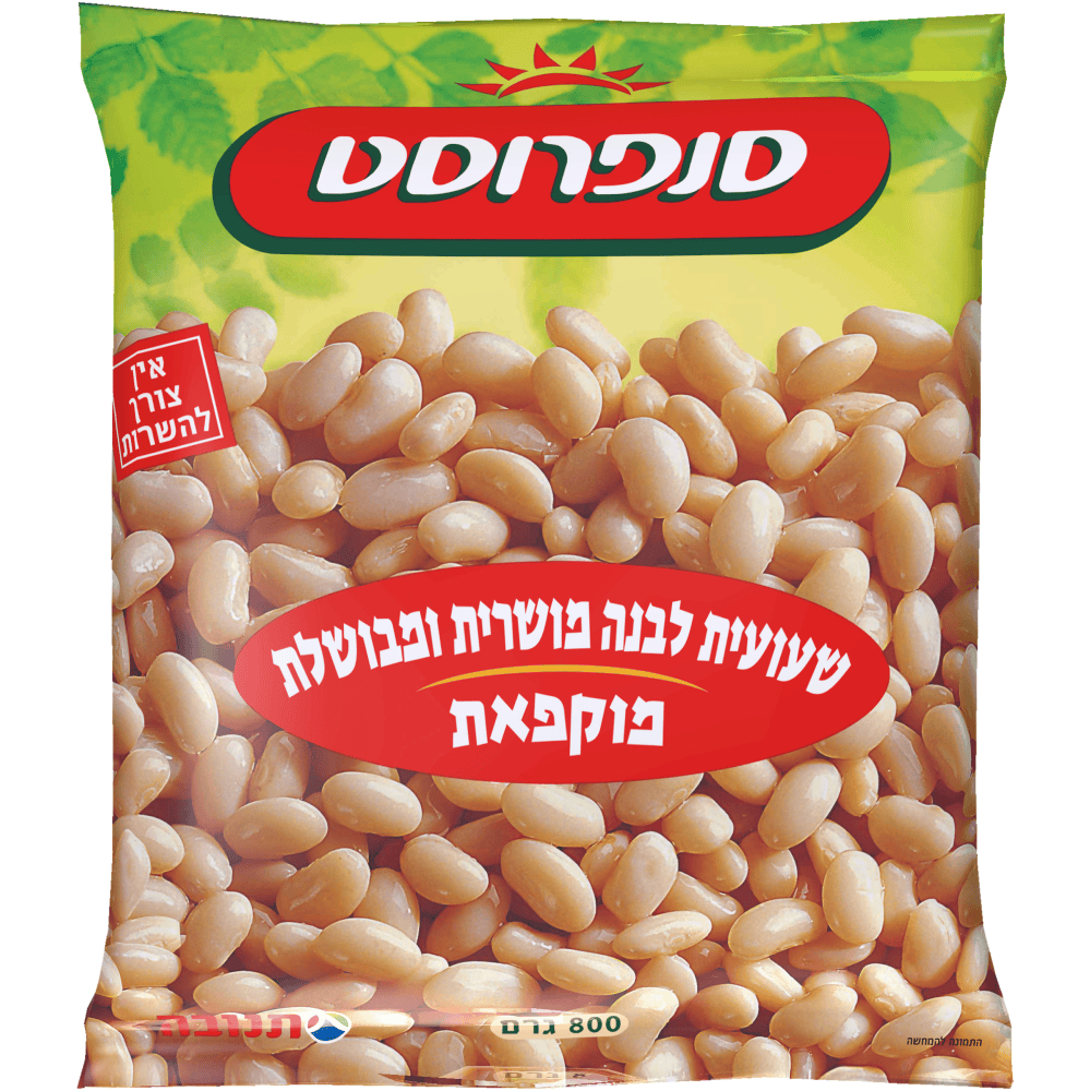 שעועית לבנה