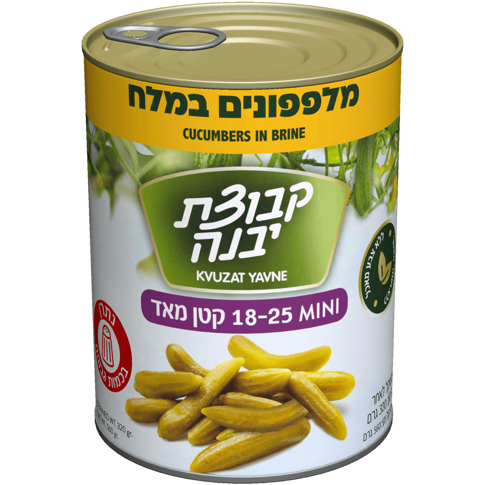 מלפפון במלח קטן מאוד יבנה