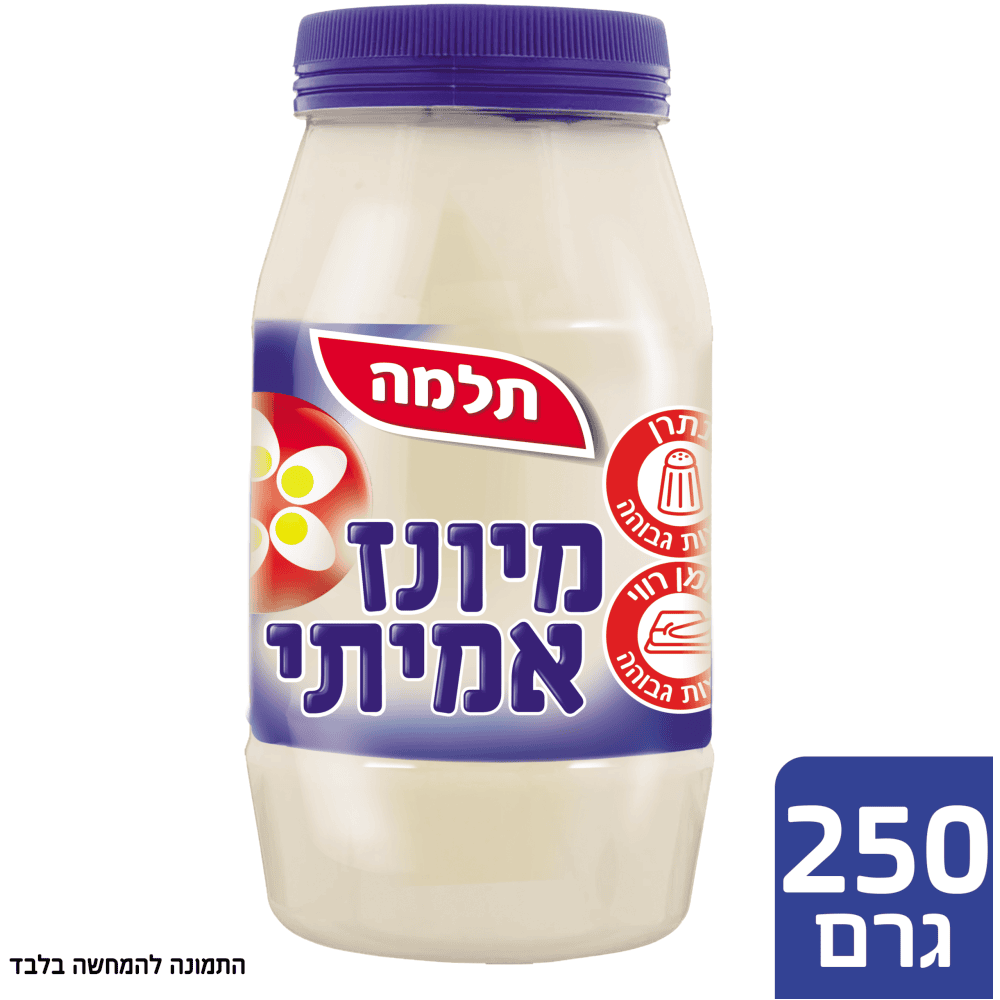 מיונז 250 גרם תלמה